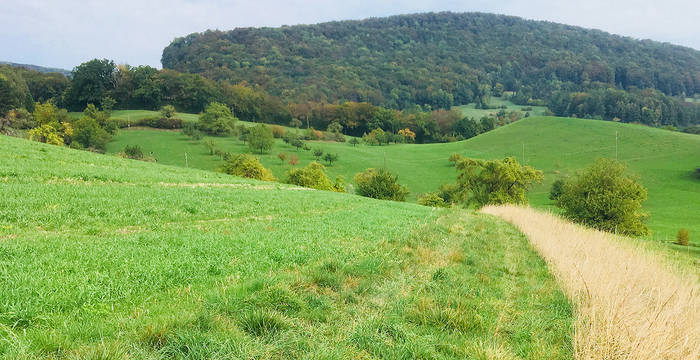 Paysage culturel dans le Jura argovien