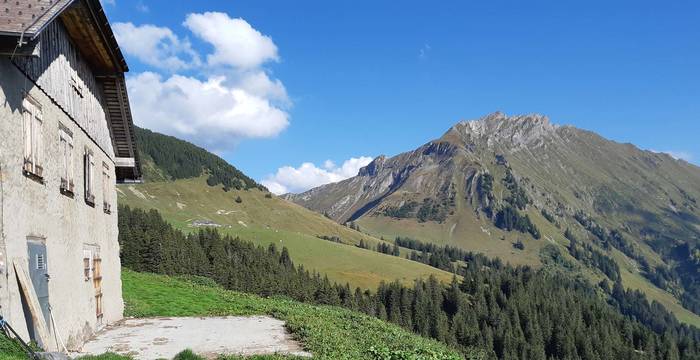 Ferienarbeitswoche: Naturreservat «La Pierreuse», Petit Jable VD