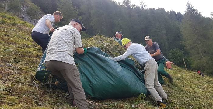 Avers GR: Pilotprojekt zur Reaktivierung von aufgegebenen ehemaligen Wildheuflächen und zur Förderung der Biodiversität. Foto: Renata Fulcri/SUS