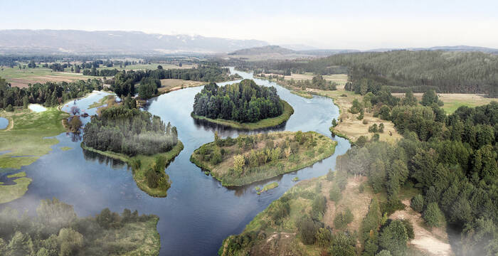 Einstige Flusslandschaft der Aare bei Lyss