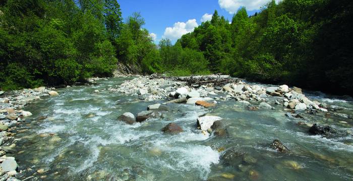 Weniger Pestizide für gutes Trinkwasser – das fordert die Trinkwasserinitiative