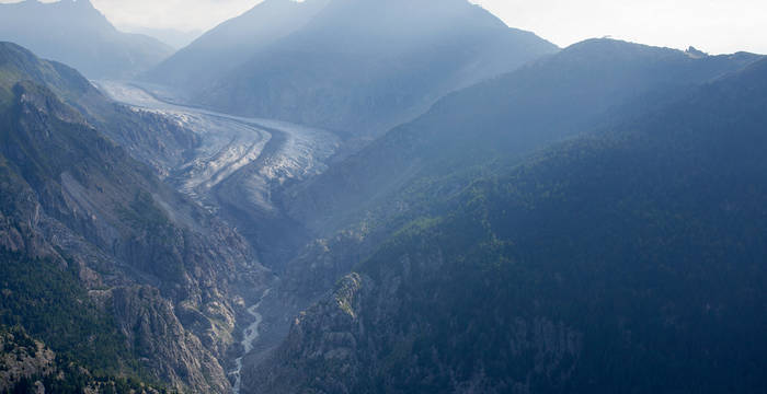 Vue sur la forêt d'Aletsch au grand glacier d'Aletsch