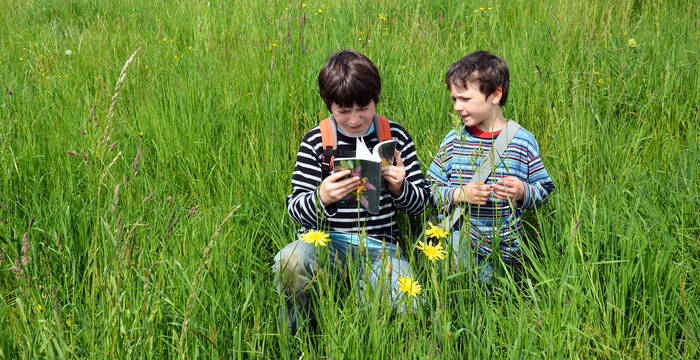 Buben beim botanisieren © Thomas Flory