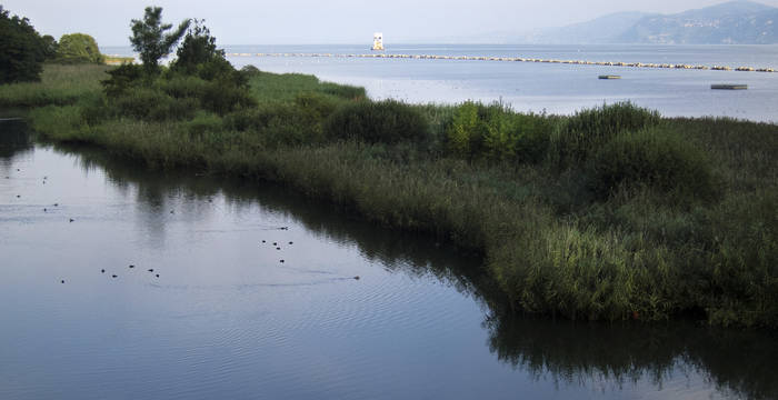 Vue de la zone littorale de l'aire protégée