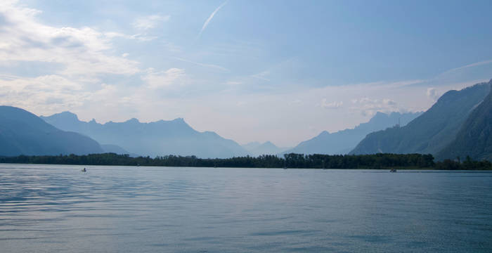 Blick auf das Schutzgebiet vom See aus