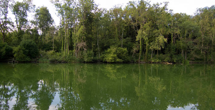 Blick auf die Uferzone des Schutzgebietes