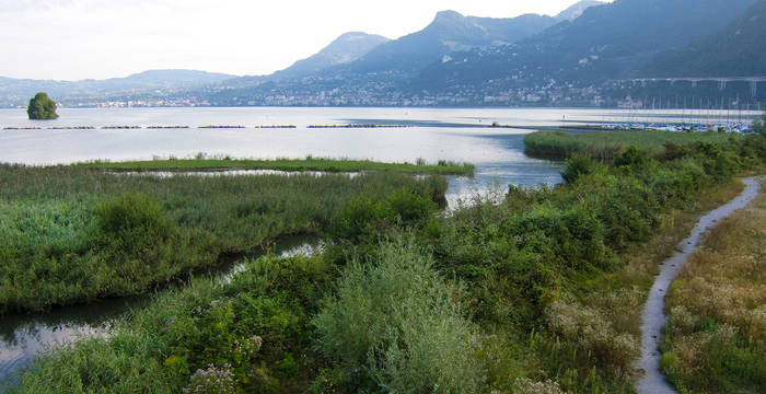 Vue de la zone littorale de l'aire protégée