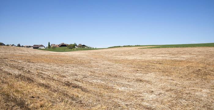 L'incitation malavisée à la métamorphose dans les années 1970/80 a conduit à ce paysage.