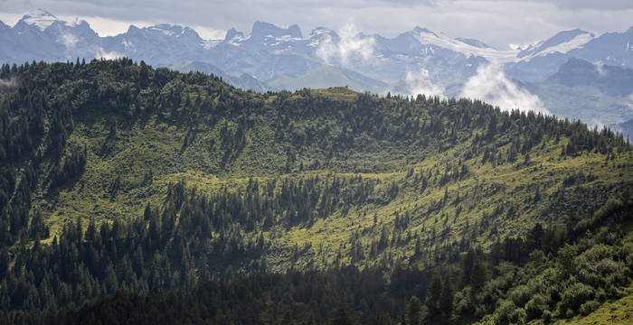 Au Glaubenberg, c’est une surface de 20 kilomètres carrés que l’armée s’apprête à quitter.