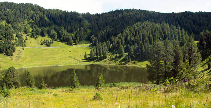 Blick über die Moorlandschaft