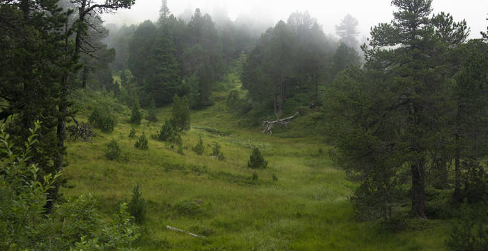 Cette zone centrale du marais, à la grande diversité naturelle, est située entre les cantons d’Obwald et de Lucerne.