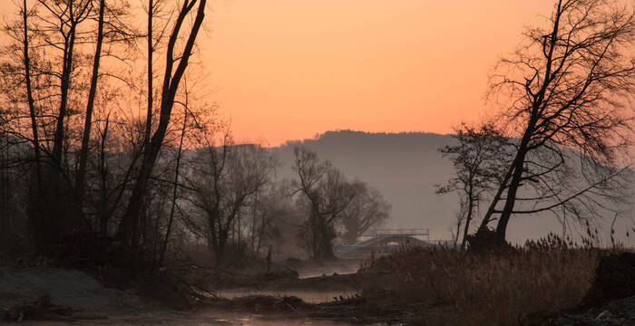 Chly Rhy in Abendstimmung cr Philipp Schuppli