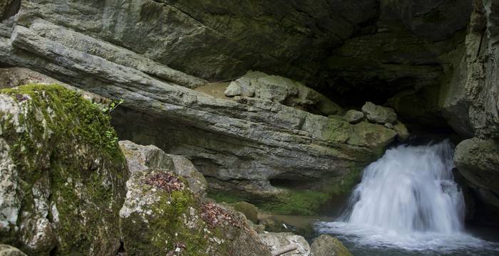 Les grottes sont des habitats particulièrement fragiles.