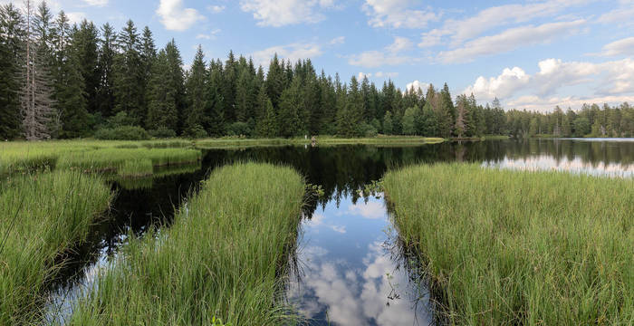 Excursion d'un jour, Etang de la Gruère JU