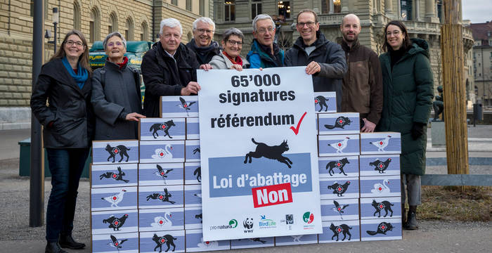 Les organisations de protection de l'environnement et des animaux ont déposé 65'000 signatures authentifiées contre l’inacceptable révision de la Loi sur la chasse et la protection des mammifères et oiseaux sauvages.