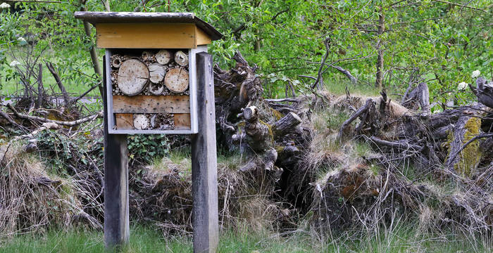 Les tas de bois mort offrent aux petits animaux des abris et des lieux de reproduction.