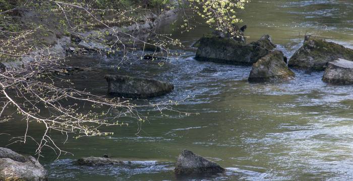 Une grande partie des eaux suisses est polluée par des pesticides.