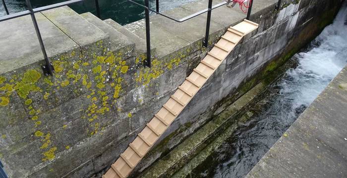 Biberrampe am Mühleplatz in Luzern