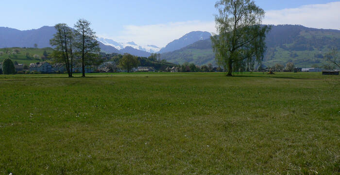 Nuoler Ried