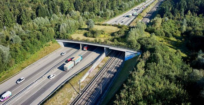 Wildtierbrücke Utzenstorf