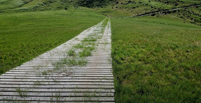 Strasse durch ein national geschütztes Flachmoor Glaubenberg