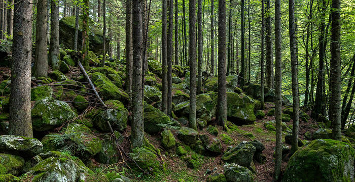 Val Cama © Matthias Sorg