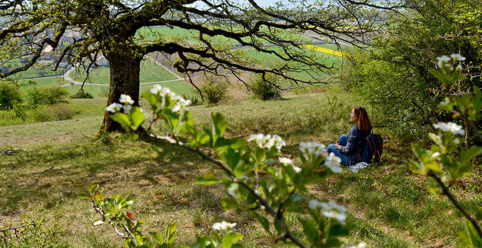 Fabia Vulliamoz im Schutzgebiet Chassagne d’Onnens © Florence Kupferschmid