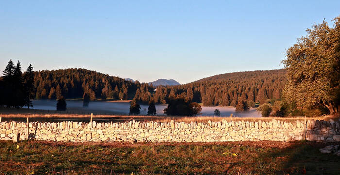 La mur est presque termine ©Pro Natura Vaud