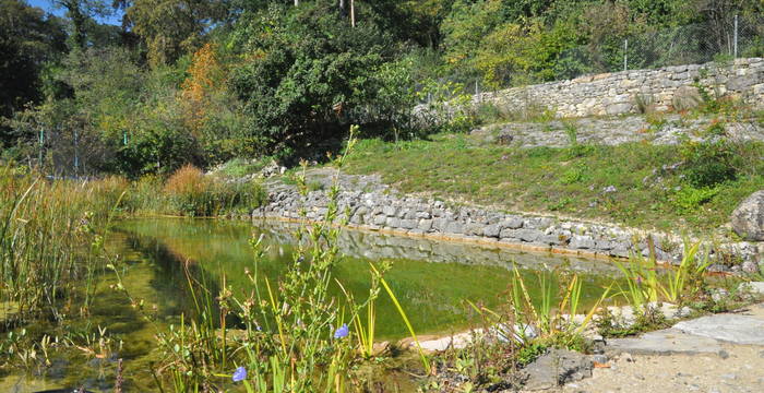 Ein Weiher, eine grosszügige Hecke und verschiedene Wiesentypen bieten im erstplatzierten Naturgarten in Biel Lebensräume für Insekten, Vögel und Amphibien.