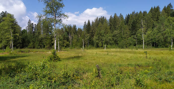 Enzenau © Heidi Schuler