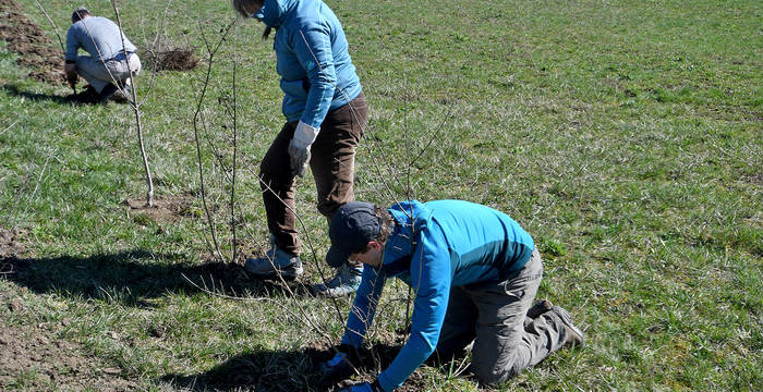 Viele Massnahmen konnten nur dank der Unterstützung von Landwirten, Förstern und hoch motivierten Freiwilligen realisiert werden. Ihnen allen sei an dieser Stelle herzlich gedankt!