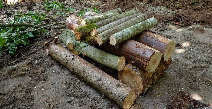 Vor dem Aufschichten des Haufens empfiehlt es sich, zuerst eine kleine Kammer von ungefähr 30 x 30 x 30 cm zu bauen. Idealerweise wird sie mit einer katzensicheren Öffnung versehen und mit trockenen Blättern und Gräsern ausgelegt. Solche Kammern dienen dem Hermelin als Schlafort oder Kinderstube und sollten in keinem Stein- oder Asthaufen fehlen.