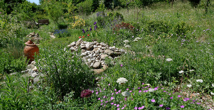Garten eines Teilnehmenden des Naturgarten-Wettbewerbes @ Pro Natura