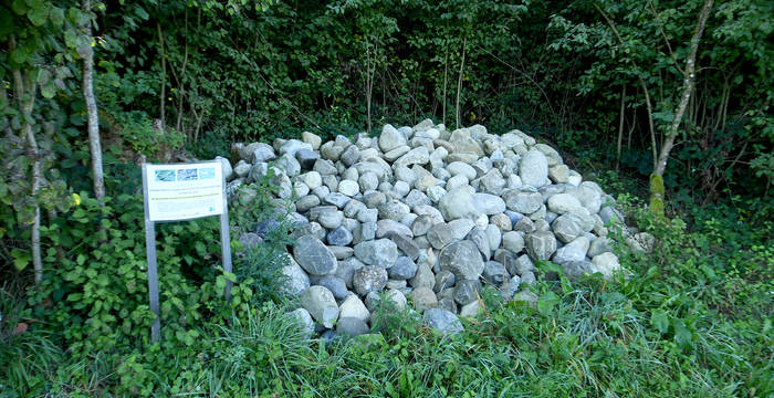 Mit viel Engagement haben Auszubildende der Forstwirtschaft neben einem Waldweg diesen grossen Steinhaufen für Eidechsen angelegt. Das Projekt hat die angehenden Berufsleute für den Naturschutz sensibilisiert. Eine Tafel informiert Spaziergänger über den ökologischen Wert solcher Haufen.