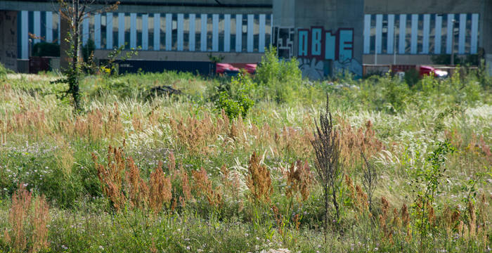 Un biotope d'importance nationale à Bâle