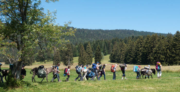 Kinder mit Esel am wandern