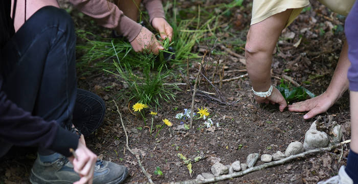 Landart im Wald