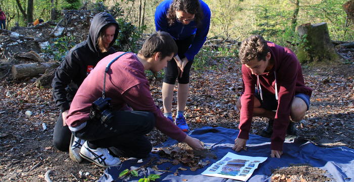 Junge Menschen betrachten Gegenstände aus dem Wald © Andreas Koenig