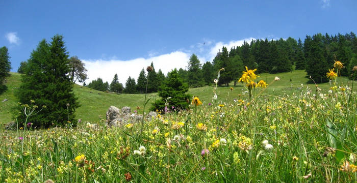 Ferienarbeitswoche Obermutten, Albula, Graubünden