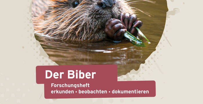 «Der Biber – Forschungsheft» für einen lebendigen Unterricht in der Natur für Primarschulen. © Pro Natura 