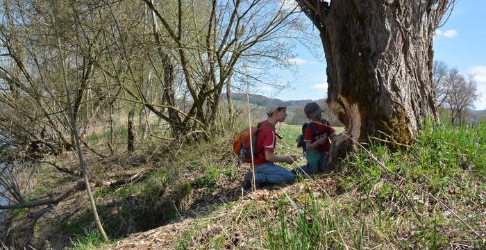 Pro Natura accompagne les classes des cycles 1 et 2 dans la nature avec les animations ANIMATURA.