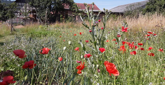 Naturgarten