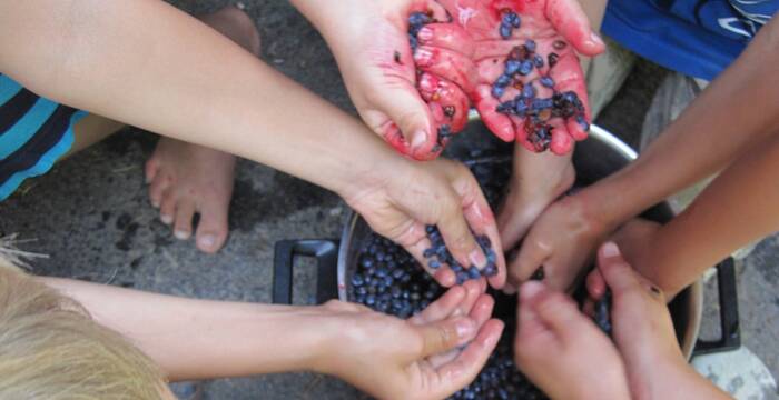 Ein Topf mit Beerensaft,