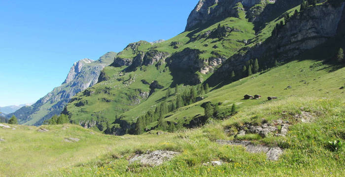 Ferienarbeitswoche in Avers © Pro Natura Graubünden