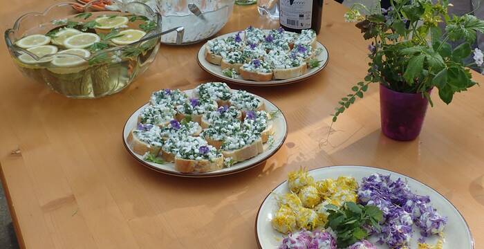 Genussvolles Wildpflanzenapéro,