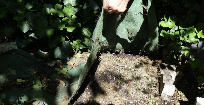 Une cachette idéale pour les orvets, protégée par une toile à compost.