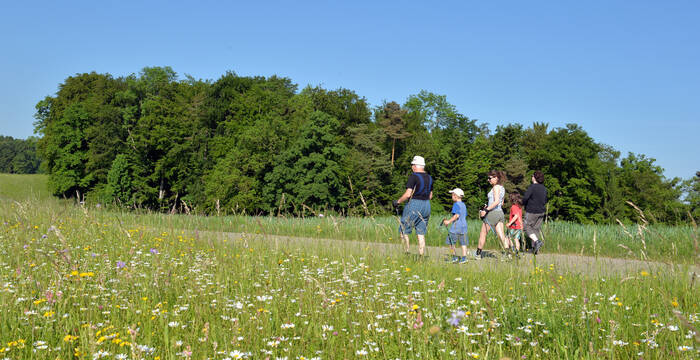 Wiesentouren Baselland