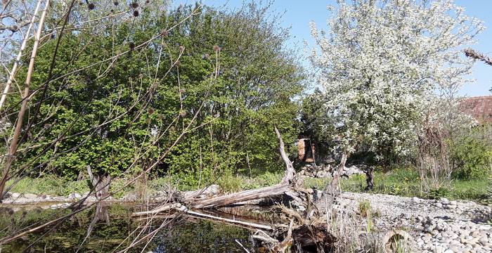 Un jardin naturel, un paradis pour les hôtes les plus variés © Raphael Mettler