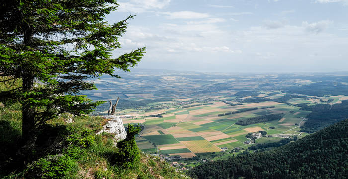 Symbolbild für Raumplanung - Blick von einem Hügel aus auf die Landschaft mit ihren bewirtschafteten Felder. © Matthias Sorg