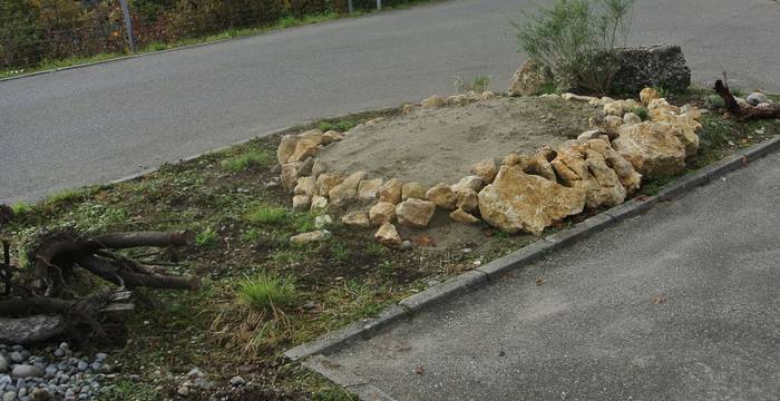 Steinlinse neben einem Parkplatz © Monika Wirz 